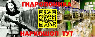 стафф Краснокаменск